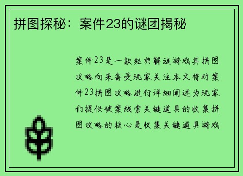 拼图探秘：案件23的谜团揭秘